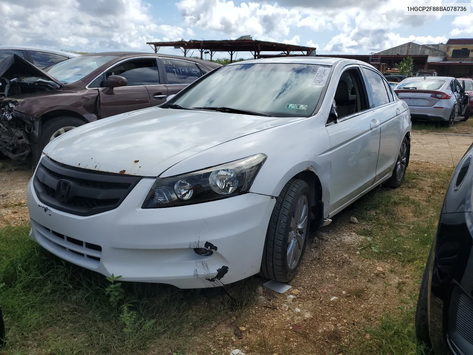 2011 Honda Accord Exl VIN: 1HGCP2F88BA078736 Lot: 48746344