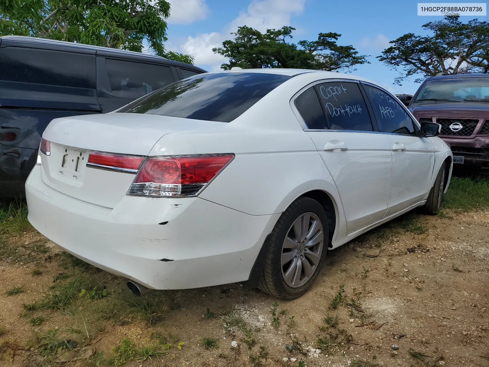 2011 Honda Accord Exl VIN: 1HGCP2F88BA078736 Lot: 48746344