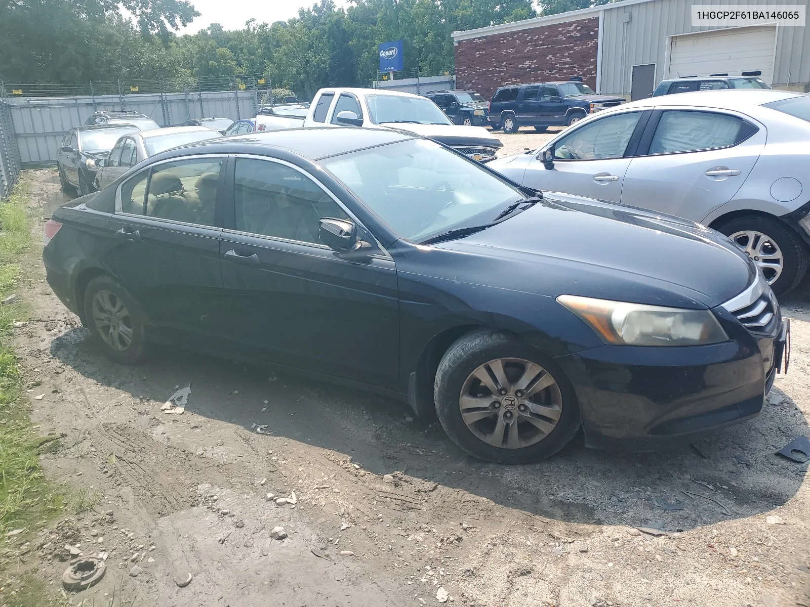 2011 Honda Accord Se VIN: 1HGCP2F61BA146065 Lot: 66252604