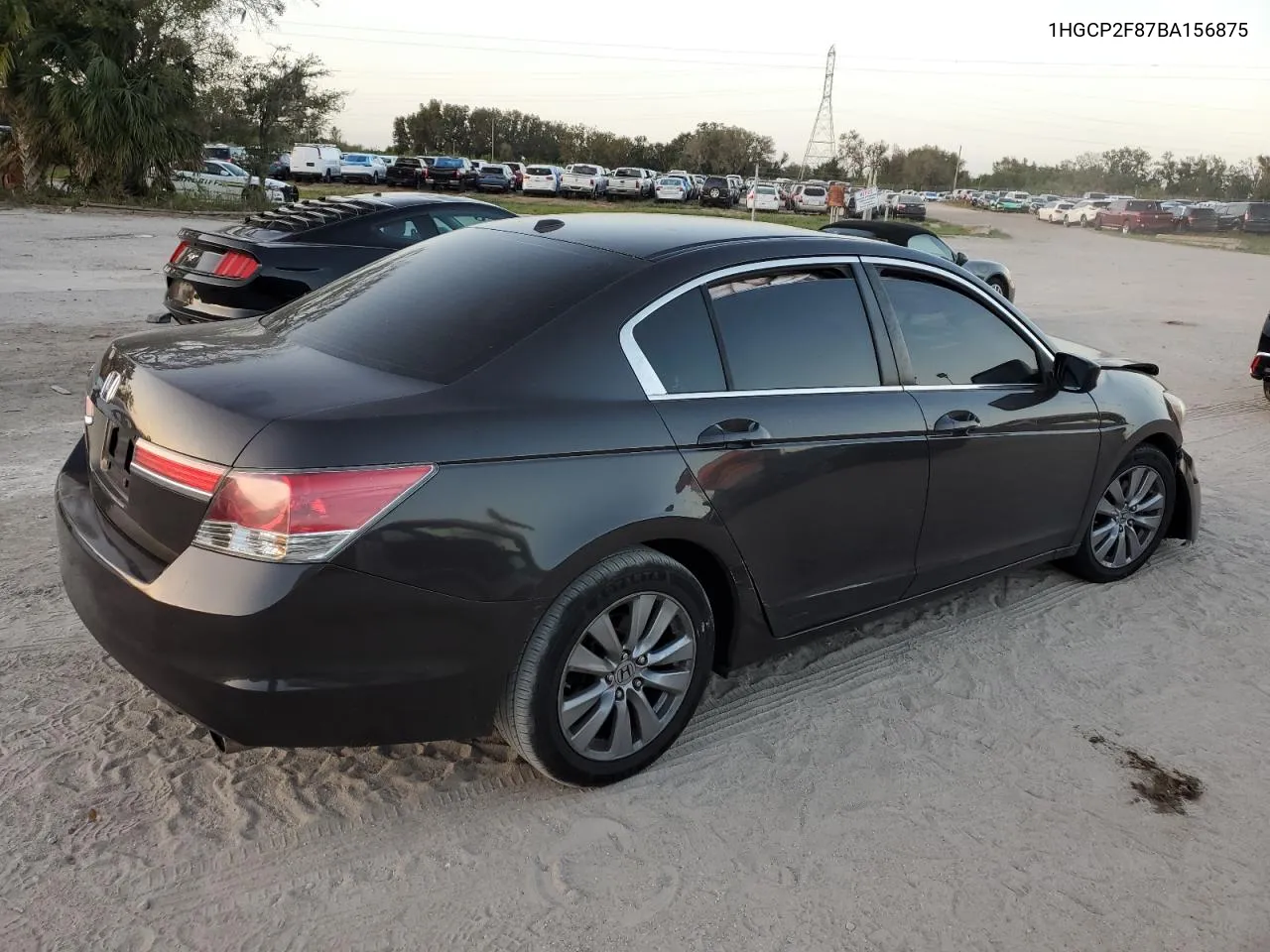 2011 Honda Accord Exl VIN: 1HGCP2F87BA156875 Lot: 77589904