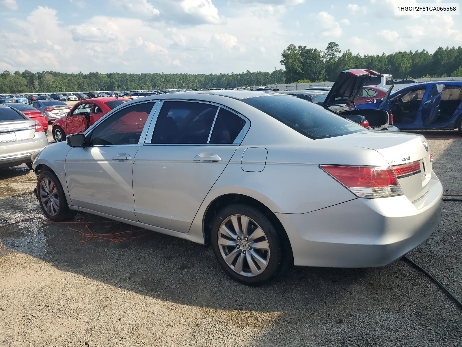 2012 Honda Accord Exl VIN: 1HGCP2F81CA065568 Lot: 66249174