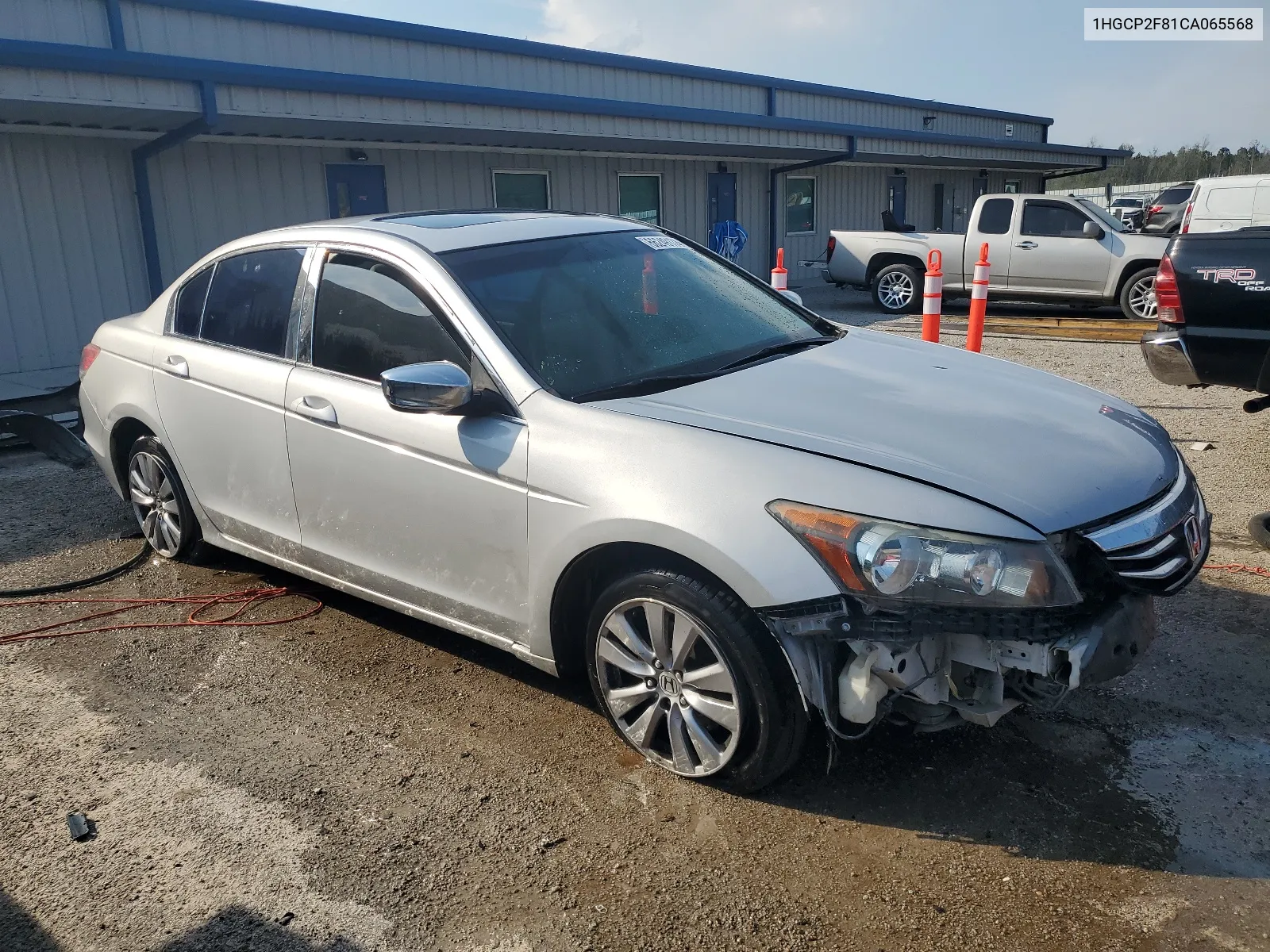 2012 Honda Accord Exl VIN: 1HGCP2F81CA065568 Lot: 66249174