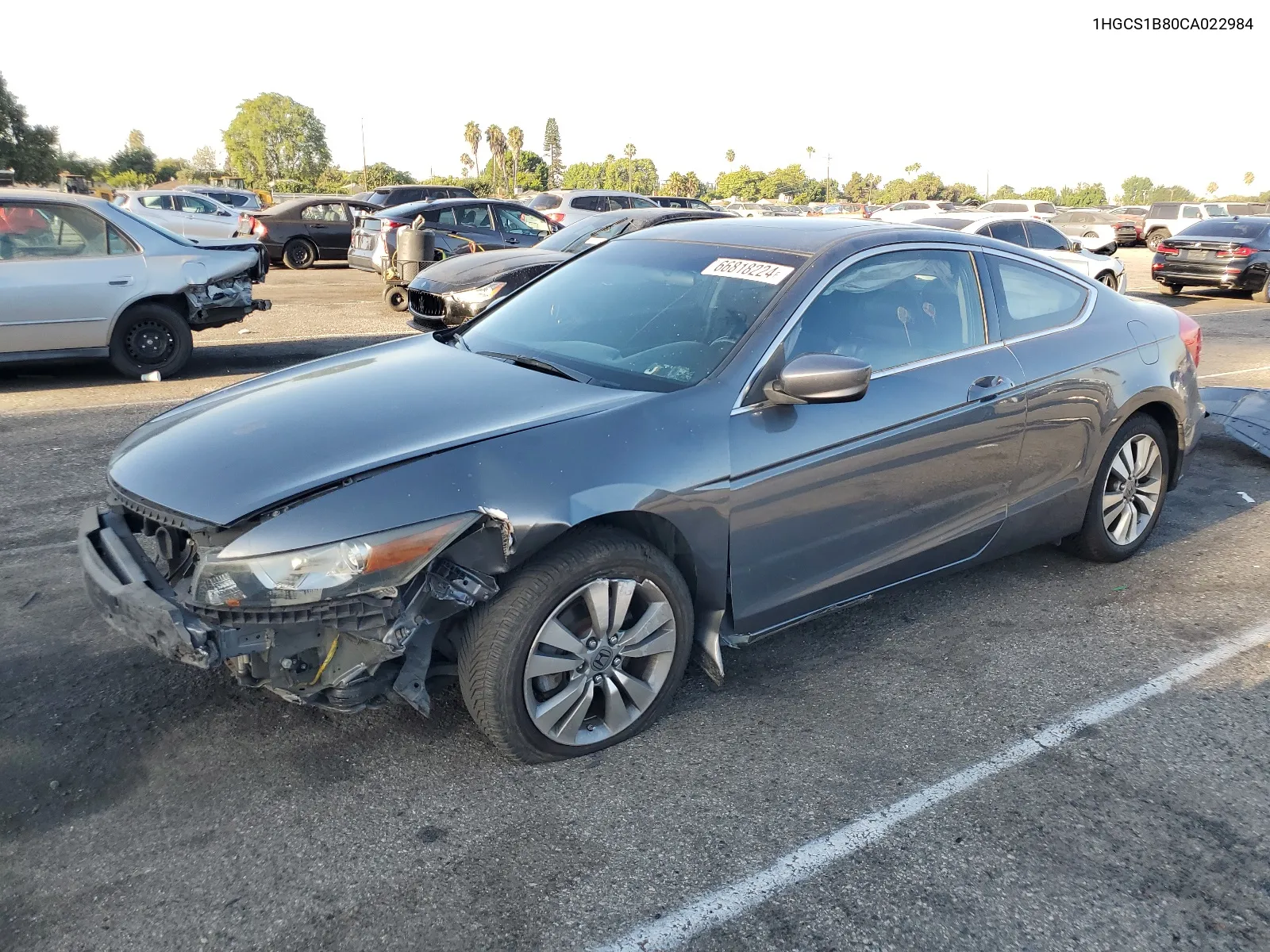 2012 Honda Accord Exl VIN: 1HGCS1B80CA022984 Lot: 66818224