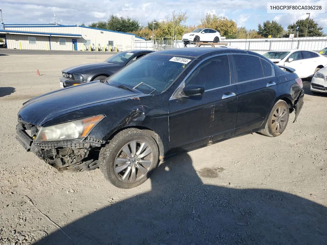 2012 Honda Accord Exl VIN: 1HGCP3F80CA036228 Lot: 75907044