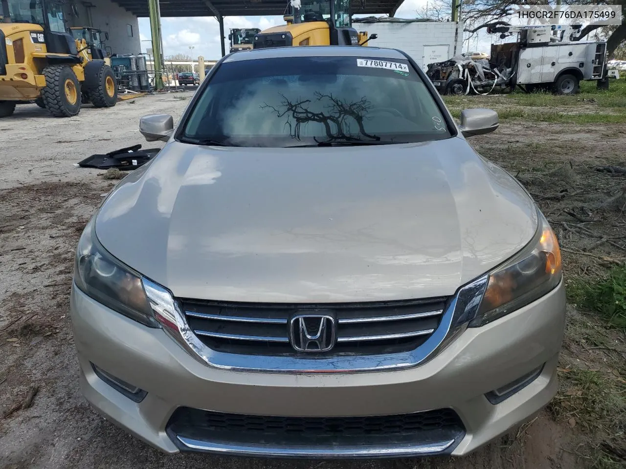 2013 Honda Accord Ex VIN: 1HGCR2F76DA175499 Lot: 77807714