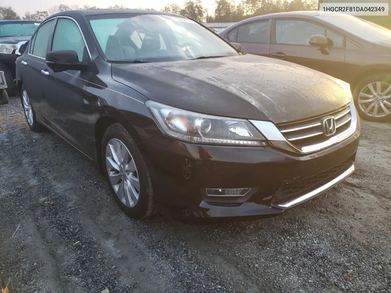 2013 Honda Accord Exl VIN: 1HGCR2F81DA042349 Lot: 79016754