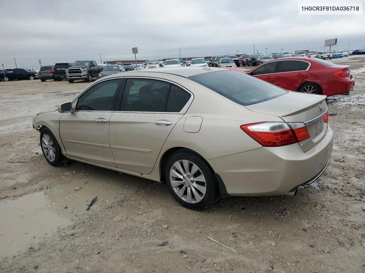 2013 Honda Accord Exl VIN: 1HGCR3F81DA036718 Lot: 79445304