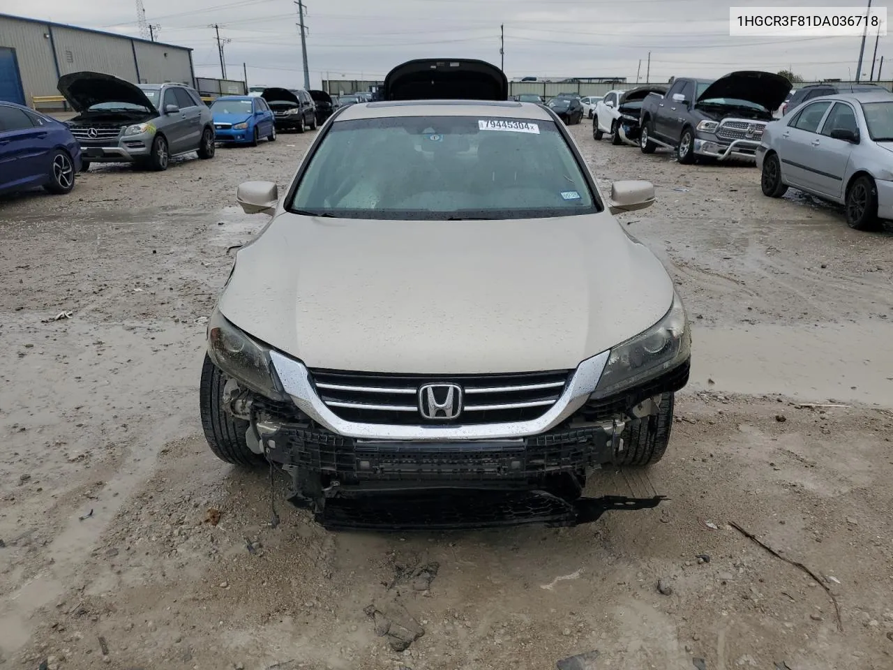 2013 Honda Accord Exl VIN: 1HGCR3F81DA036718 Lot: 79445304