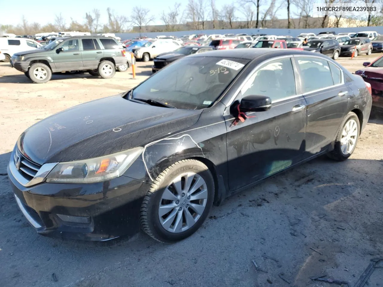 1HGCR2F89EA239383 2014 Honda Accord Exl