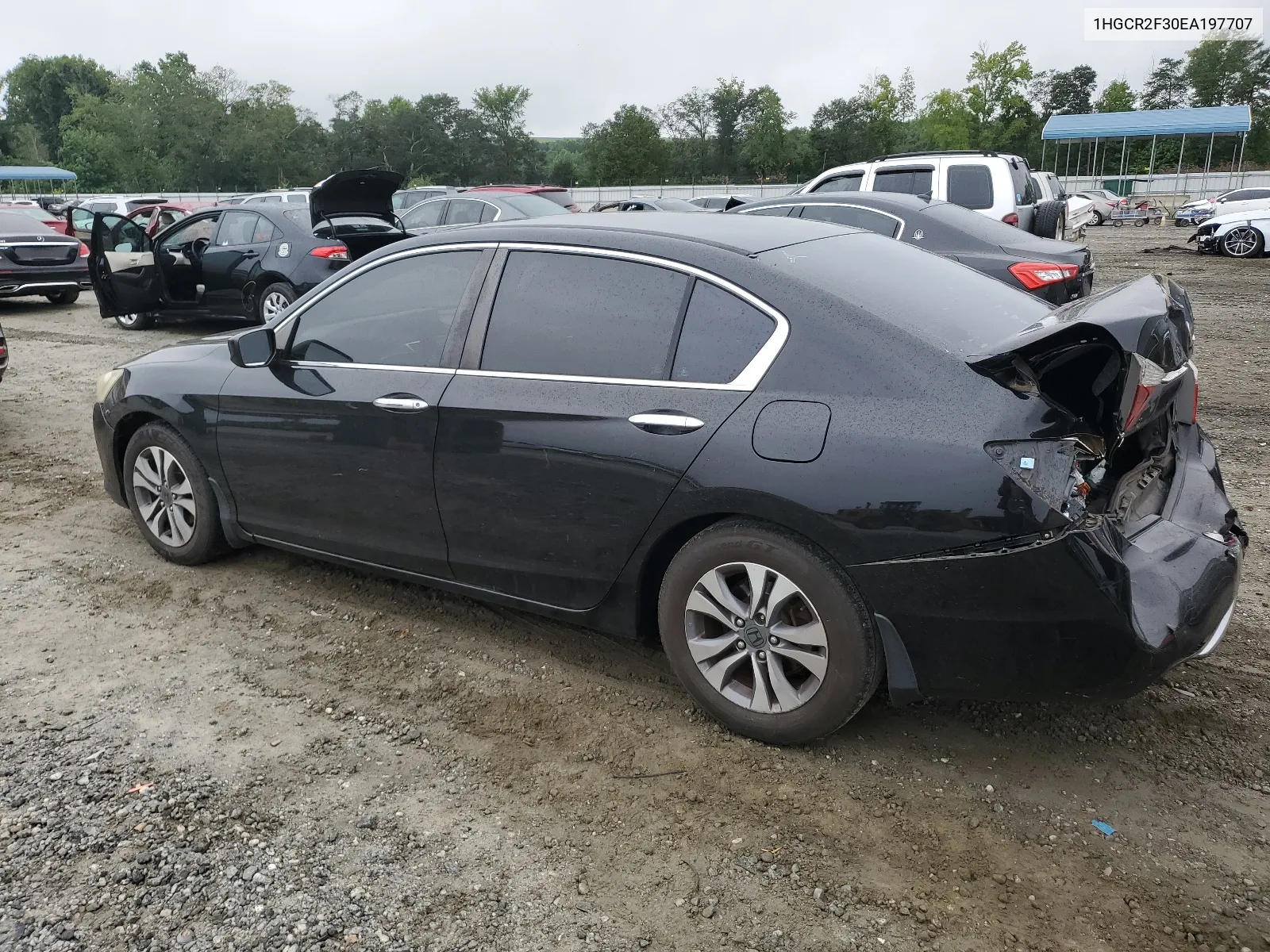 2014 Honda Accord Lx VIN: 1HGCR2F30EA197707 Lot: 64844024