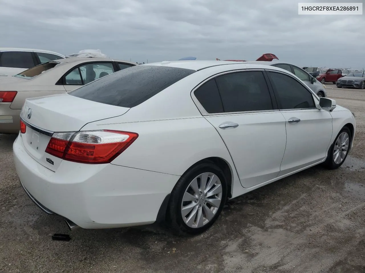 2014 Honda Accord Exl VIN: 1HGCR2F8XEA286891 Lot: 73866334