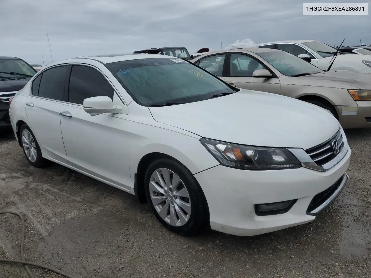 1HGCR2F8XEA286891 2014 Honda Accord Exl