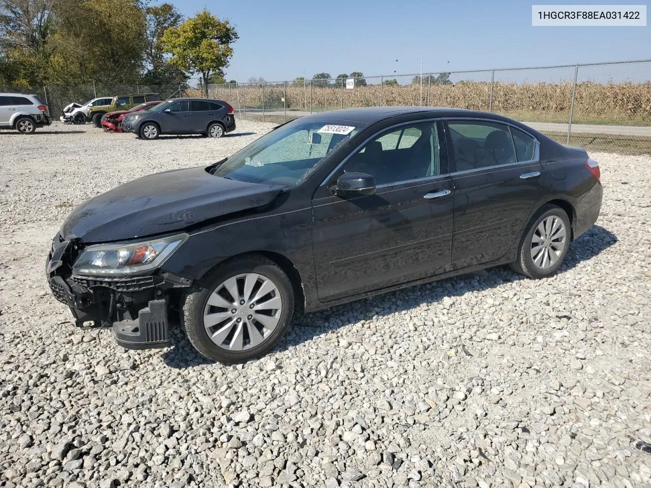 2014 Honda Accord Exl VIN: 1HGCR3F88EA031422 Lot: 75513024