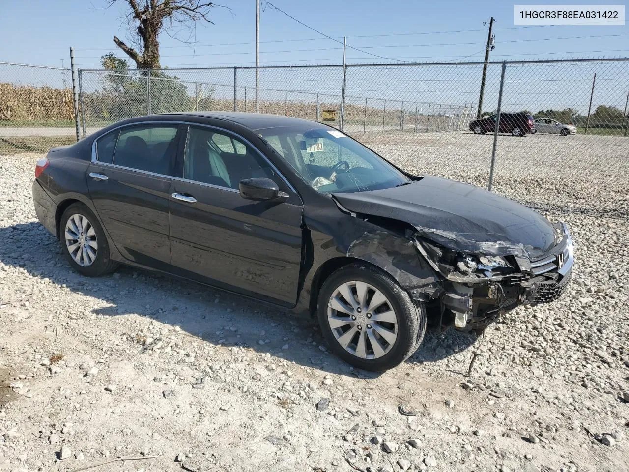 2014 Honda Accord Exl VIN: 1HGCR3F88EA031422 Lot: 75513024