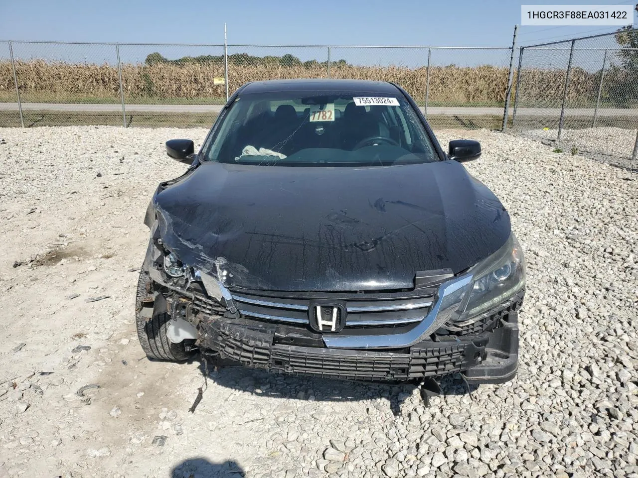 2014 Honda Accord Exl VIN: 1HGCR3F88EA031422 Lot: 75513024