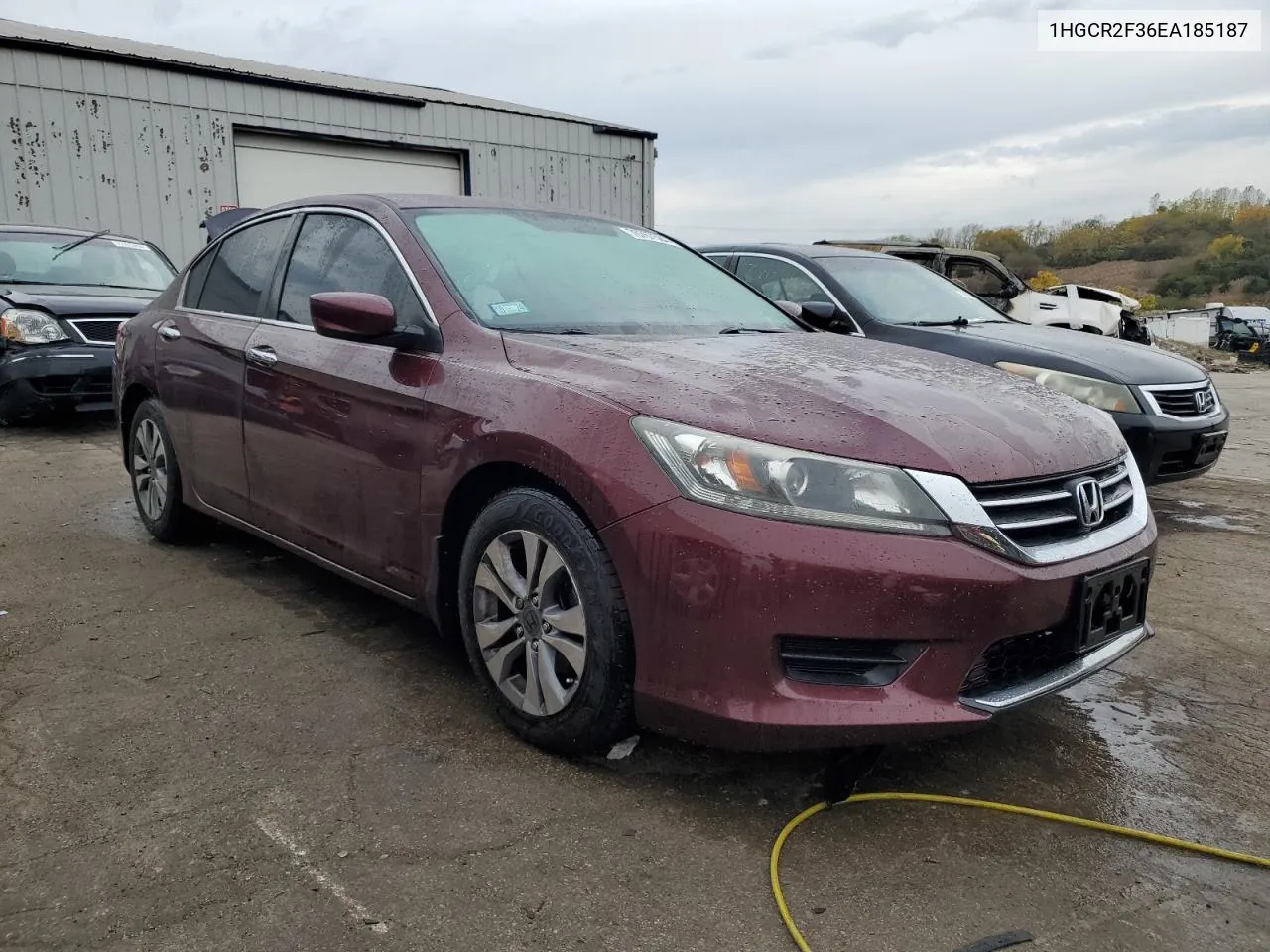 2014 Honda Accord Lx VIN: 1HGCR2F36EA185187 Lot: 76767584