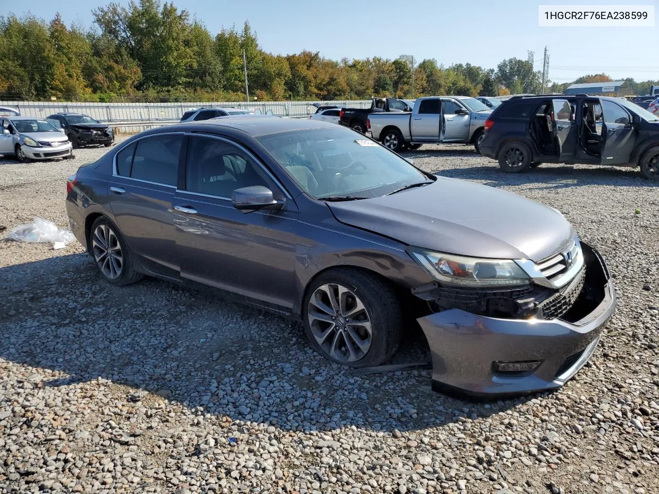 2014 Honda Accord Ex VIN: 1HGCR2F76EA238599 Lot: 77184344