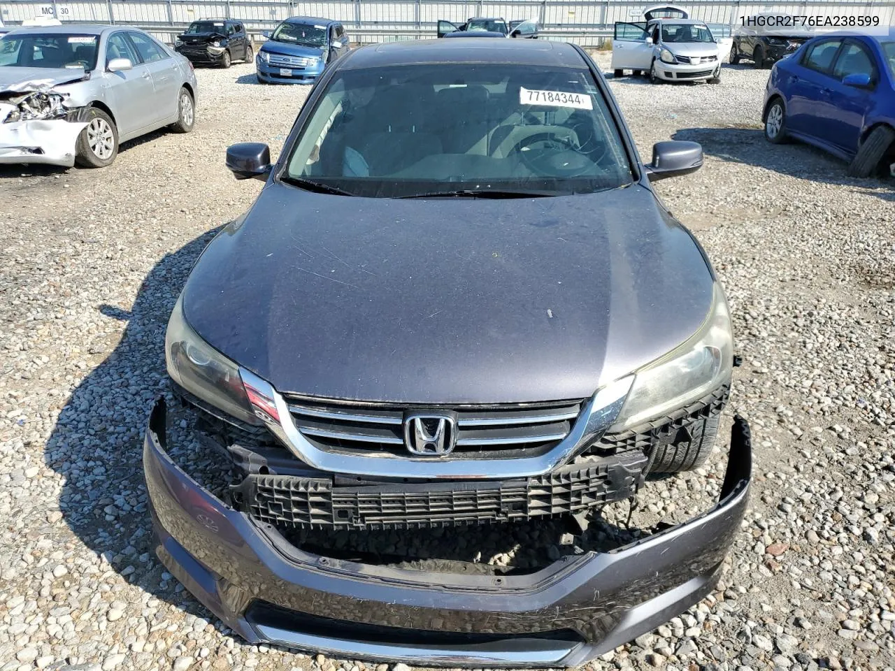 2014 Honda Accord Ex VIN: 1HGCR2F76EA238599 Lot: 77184344