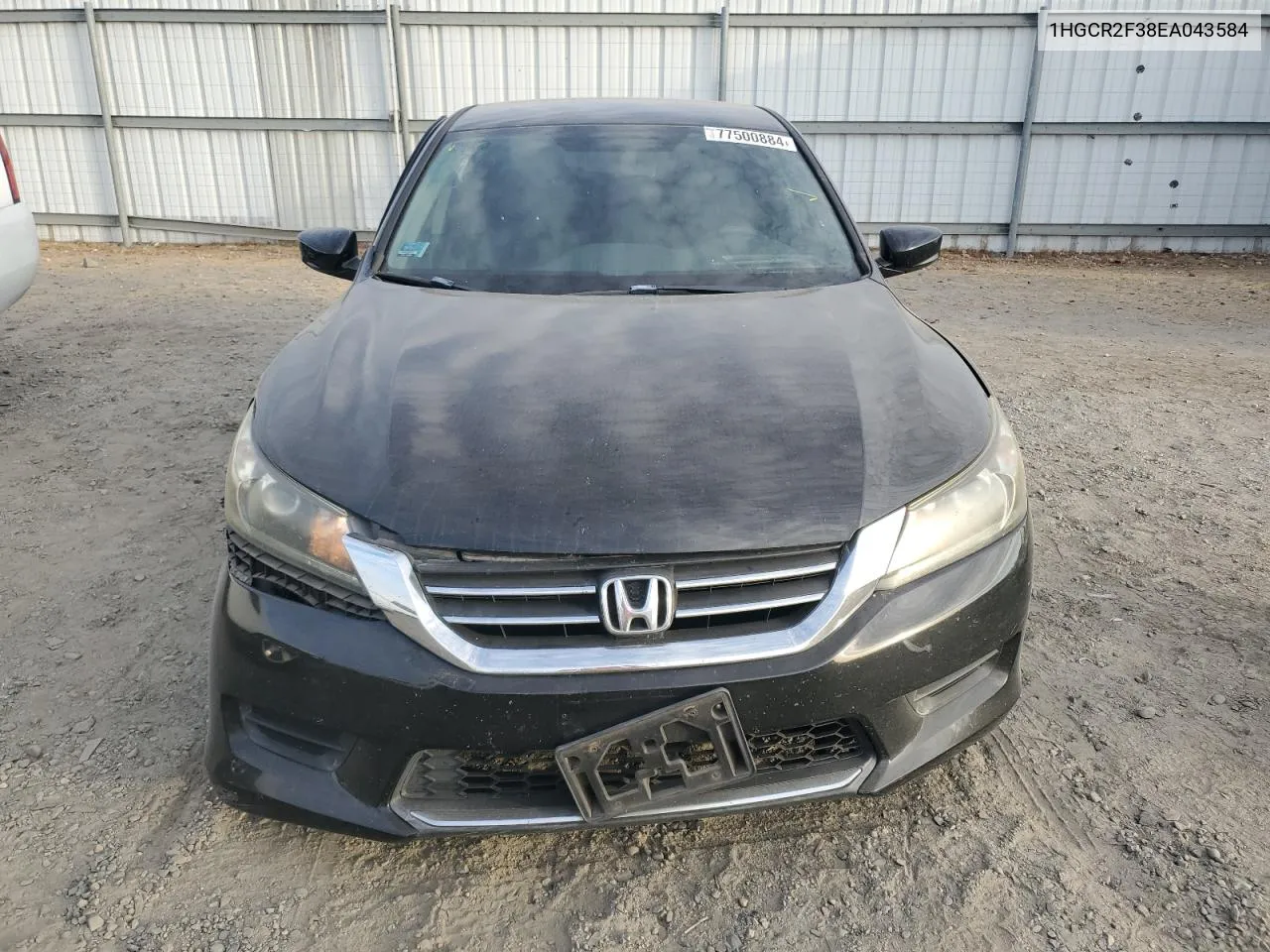 2014 Honda Accord Lx VIN: 1HGCR2F38EA043584 Lot: 77500884