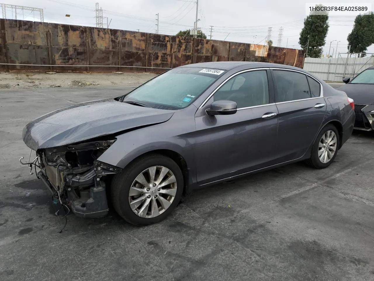 2014 Honda Accord Exl VIN: 1HGCR3F84EA025889 Lot: 77887384