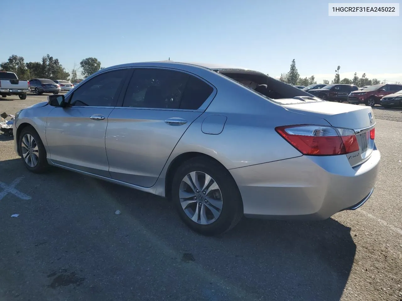 2014 Honda Accord Lx VIN: 1HGCR2F31EA245022 Lot: 79311394