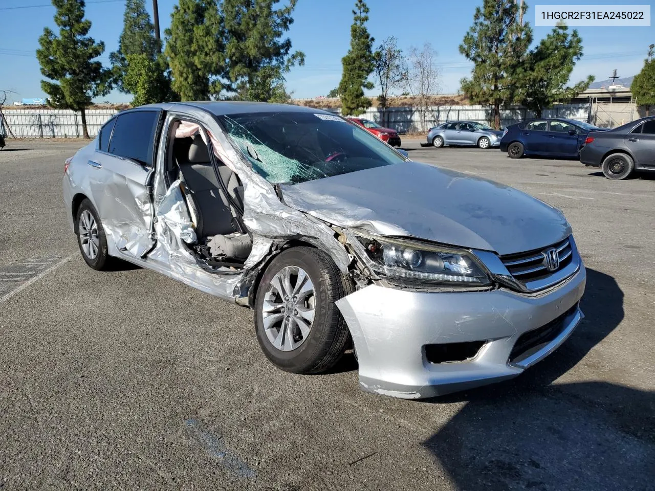 2014 Honda Accord Lx VIN: 1HGCR2F31EA245022 Lot: 79311394