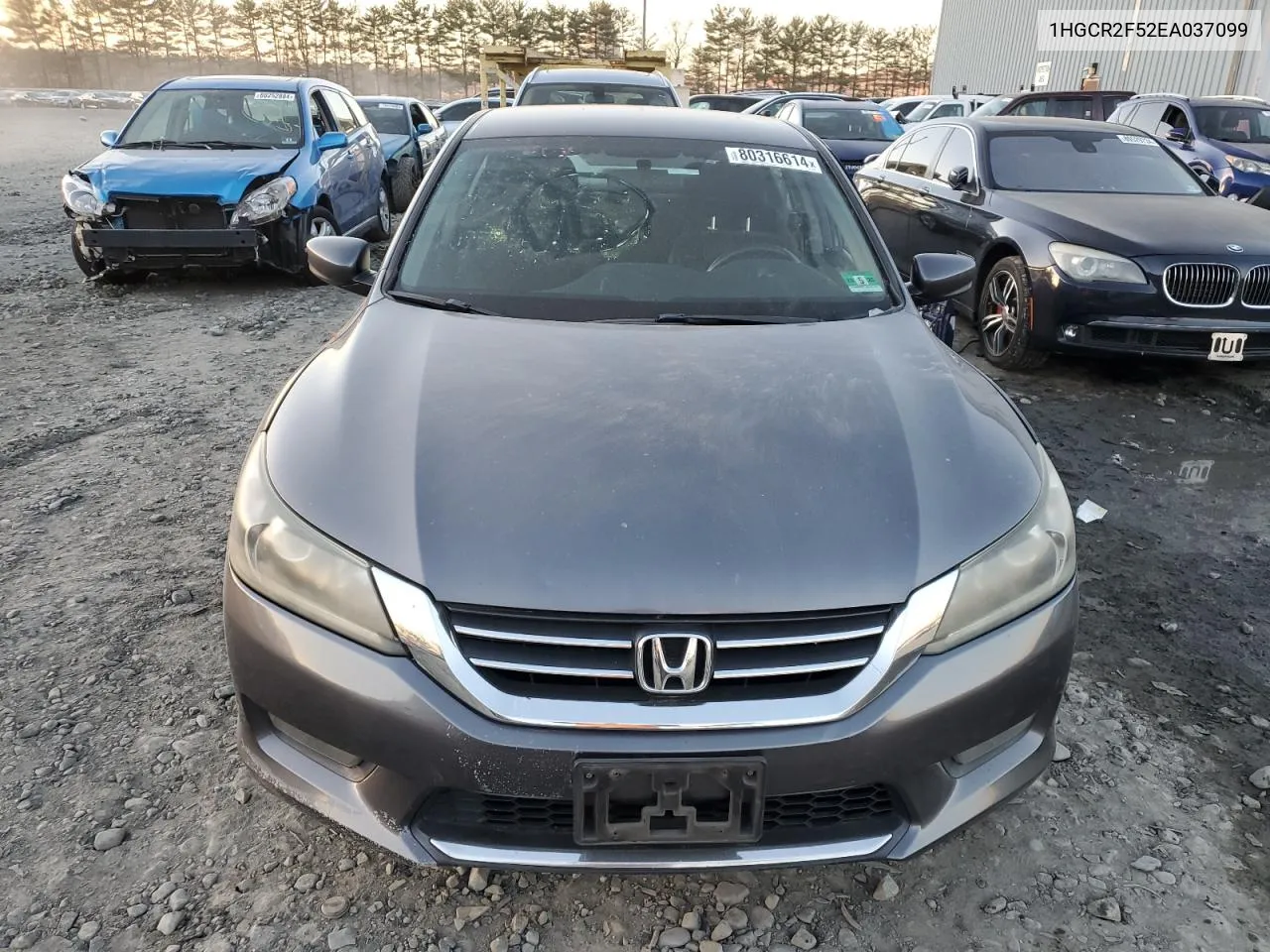 2014 Honda Accord Sport VIN: 1HGCR2F52EA037099 Lot: 80316614