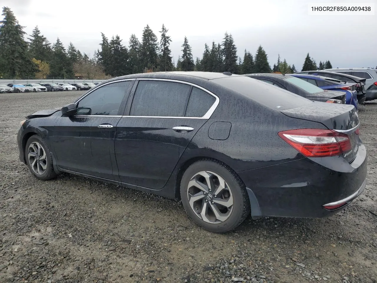 2016 Honda Accord Exl VIN: 1HGCR2F85GA009438 Lot: 80850444