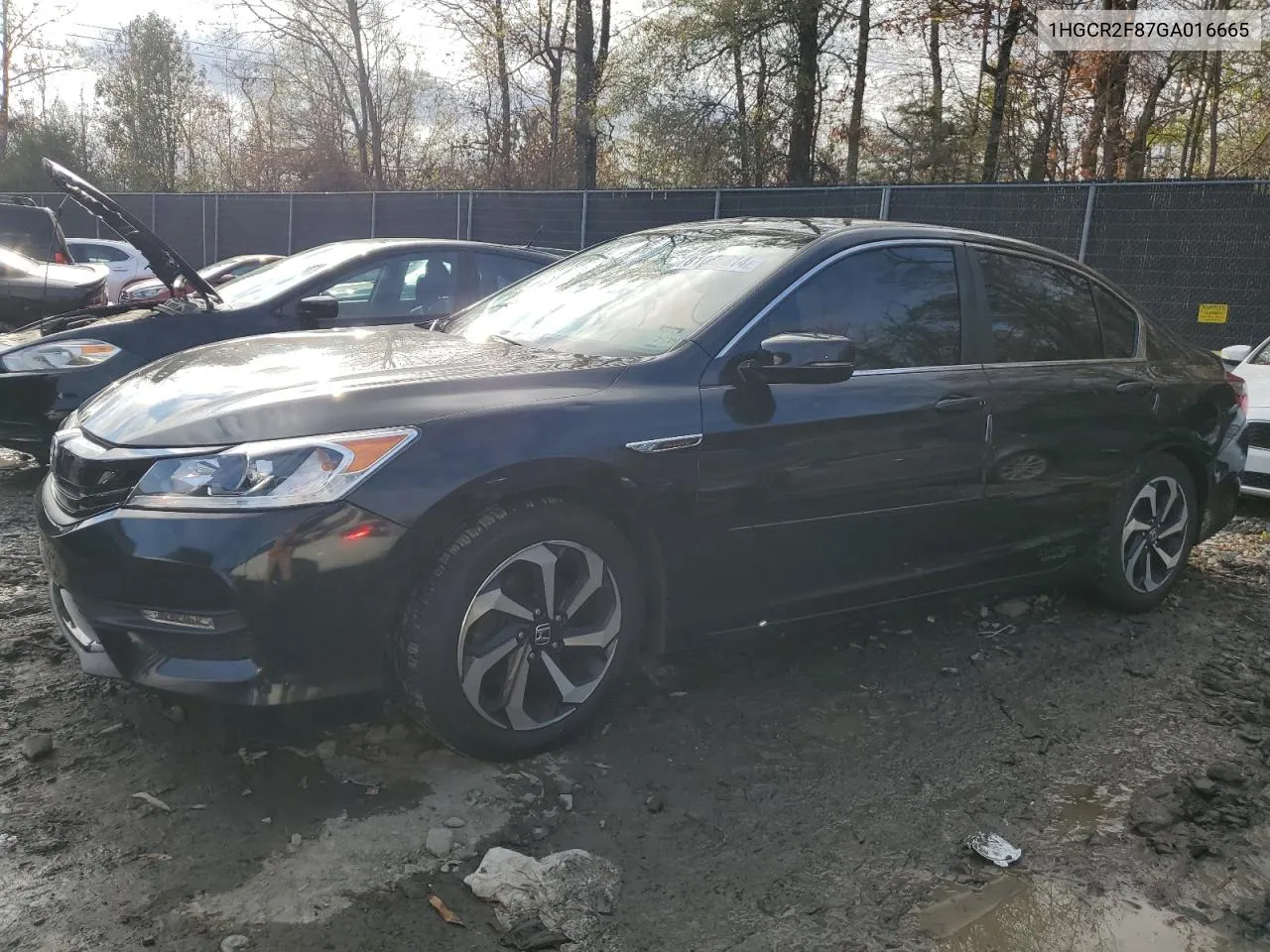 2016 Honda Accord Exl VIN: 1HGCR2F87GA016665 Lot: 81060814