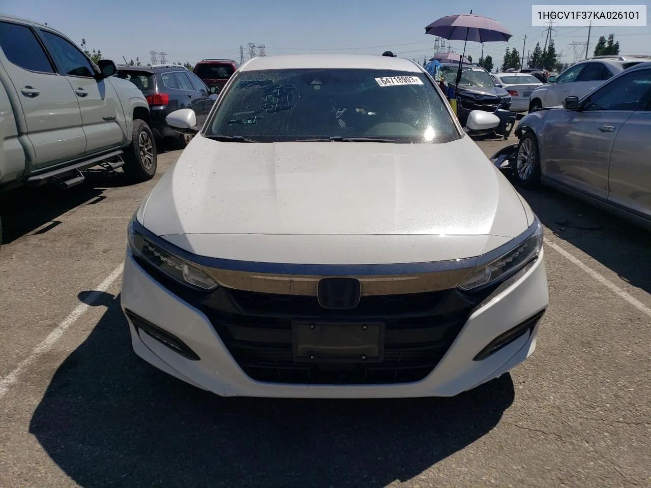 2019 Honda Accord Sport VIN: 1HGCV1F37KA026101 Lot: 64718903