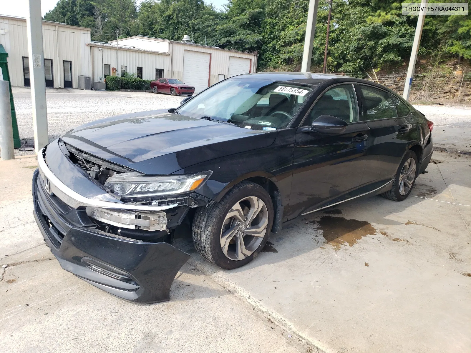 2019 Honda Accord Exl VIN: 1HGCV1F57KA044311 Lot: 66575554