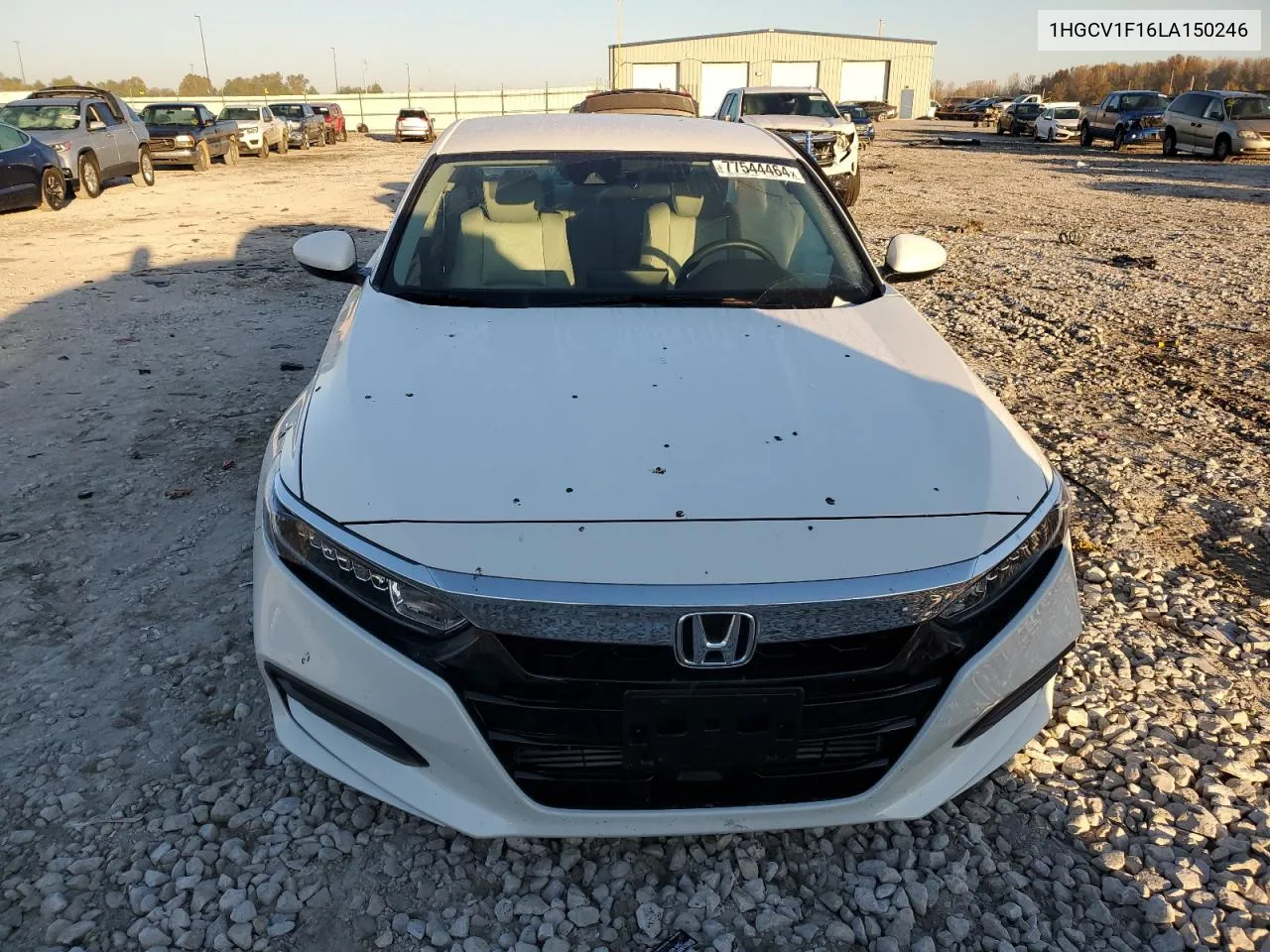 2020 Honda Accord Lx VIN: 1HGCV1F16LA150246 Lot: 77544464