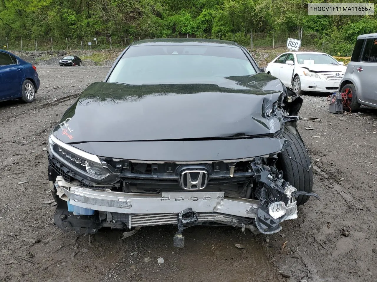 2021 Honda Accord Lx VIN: 1HGCV1F11MA116667 Lot: 50360204