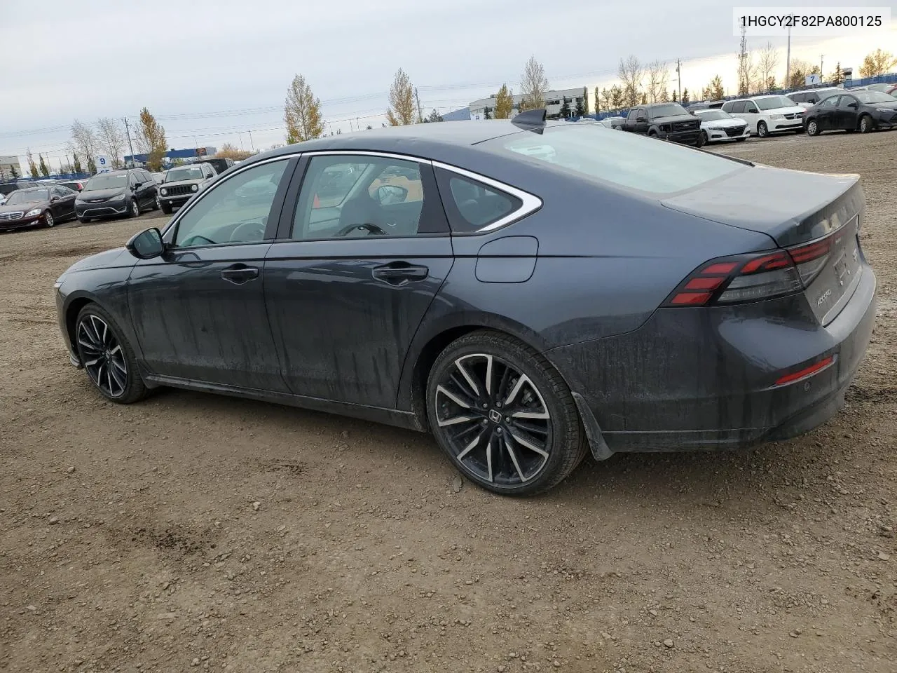 2023 Honda Accord Touring Hybrid VIN: 1HGCY2F82PA800125 Lot: 77094134