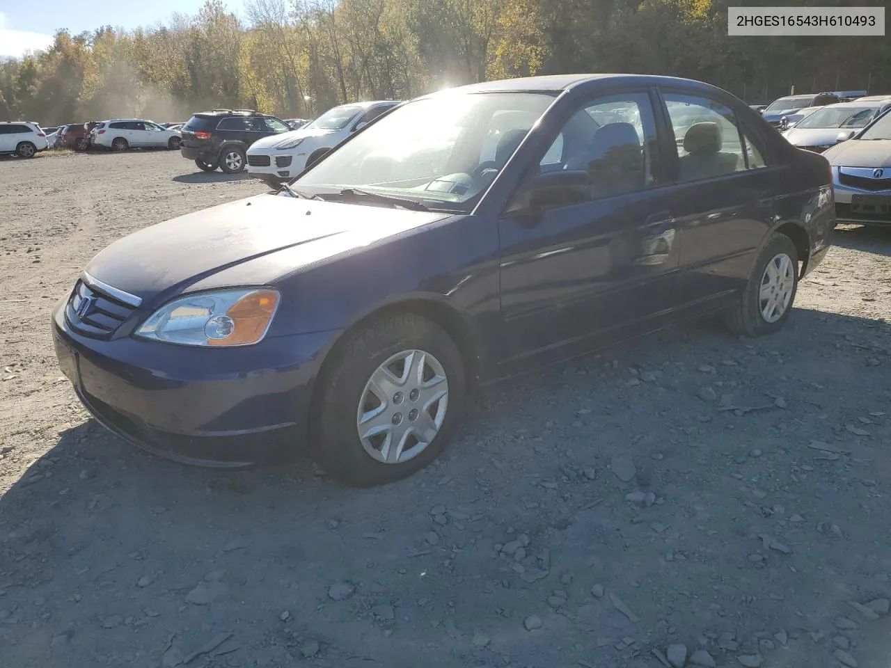 2003 Honda Civic Lx VIN: 2HGES16543H610493 Lot: 76166404