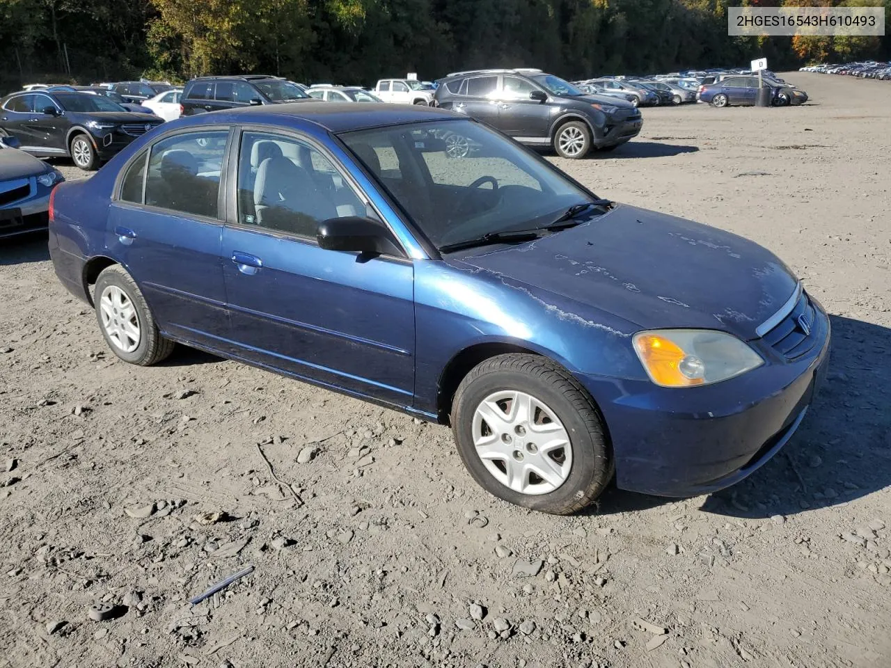 2003 Honda Civic Lx VIN: 2HGES16543H610493 Lot: 76166404