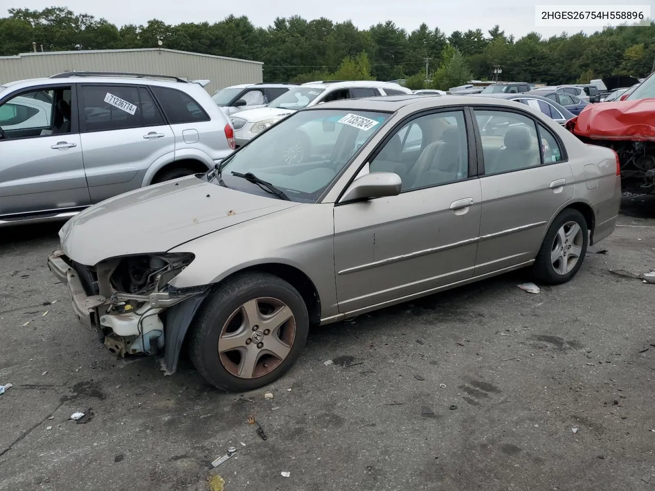 2004 Honda Civic Ex VIN: 2HGES26754H558896 Lot: 71357624