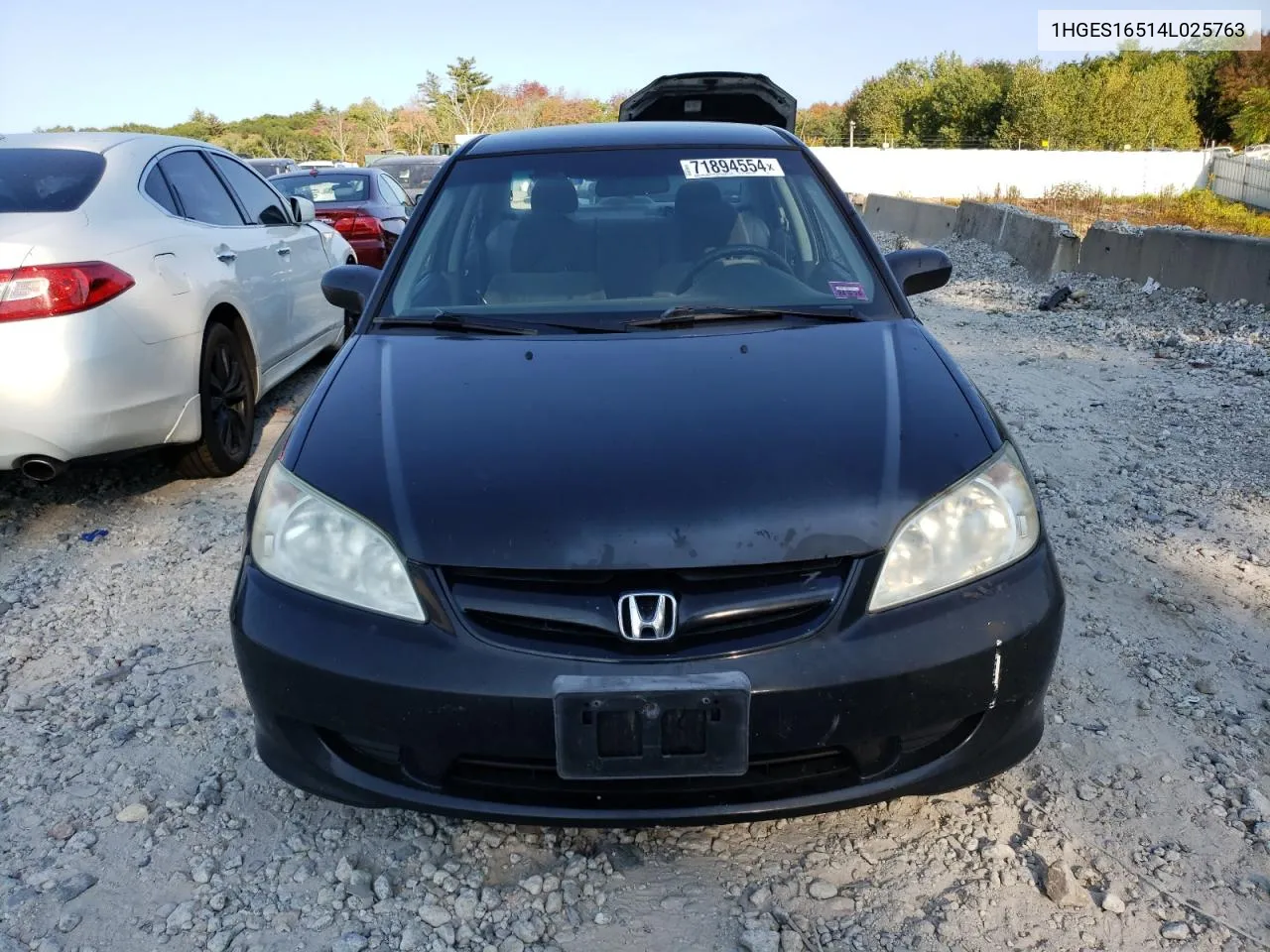 2004 Honda Civic Lx VIN: 1HGES16514L025763 Lot: 71894554