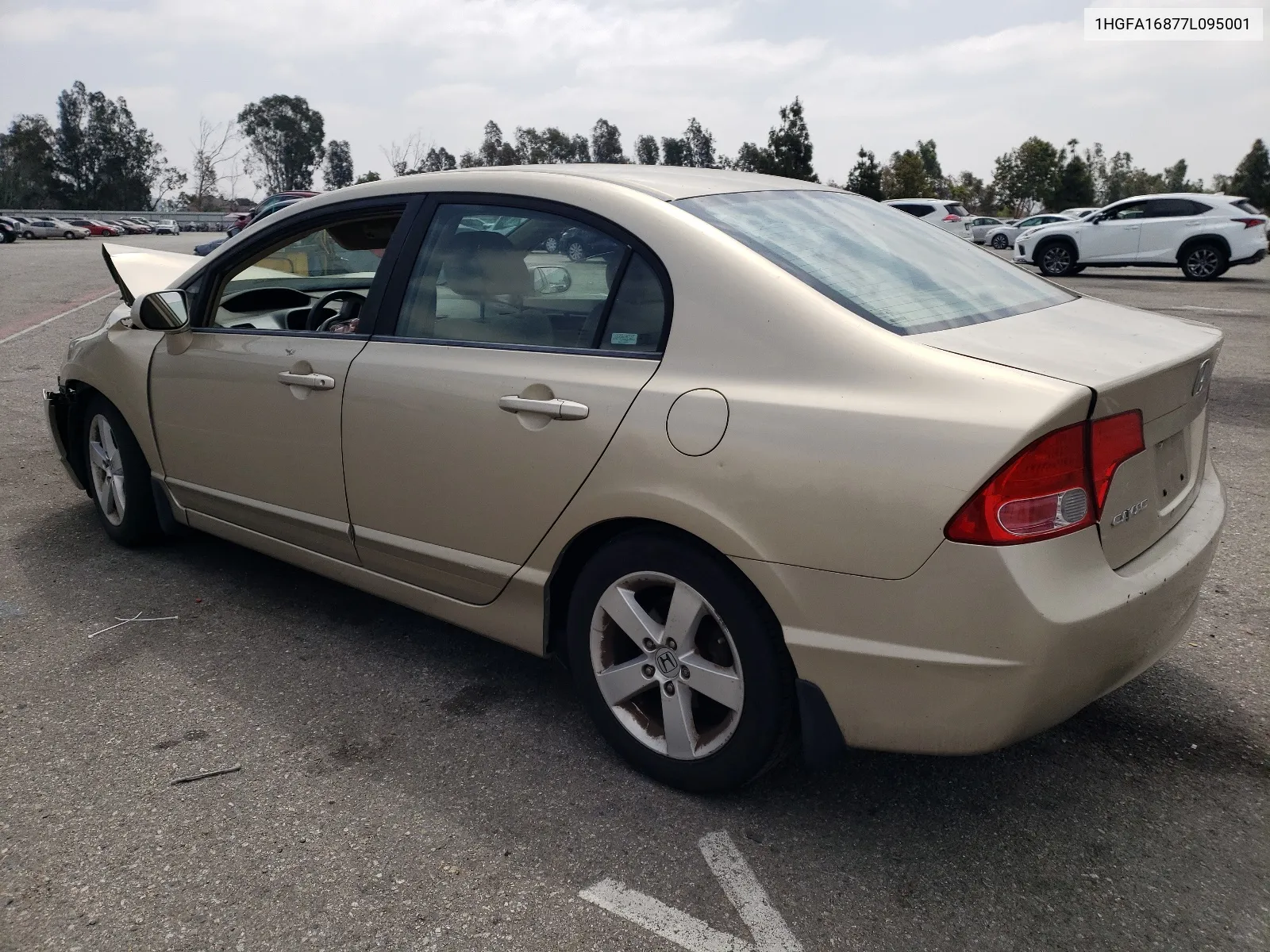 2007 Honda Civic Ex VIN: 1HGFA16877L095001 Lot: 55729634