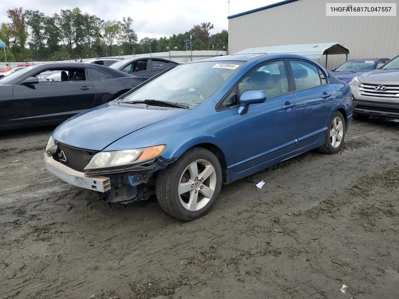 2007 Honda Civic Ex VIN: 1HGFA16817L047557 Lot: 71828844