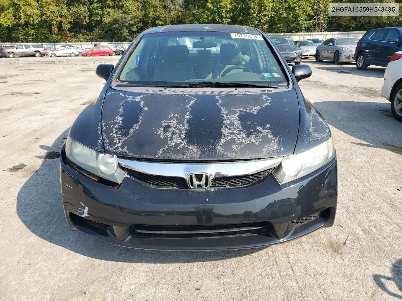 2009 Honda Civic Lx VIN: 2HGFA16559H543435 Lot: 70236654