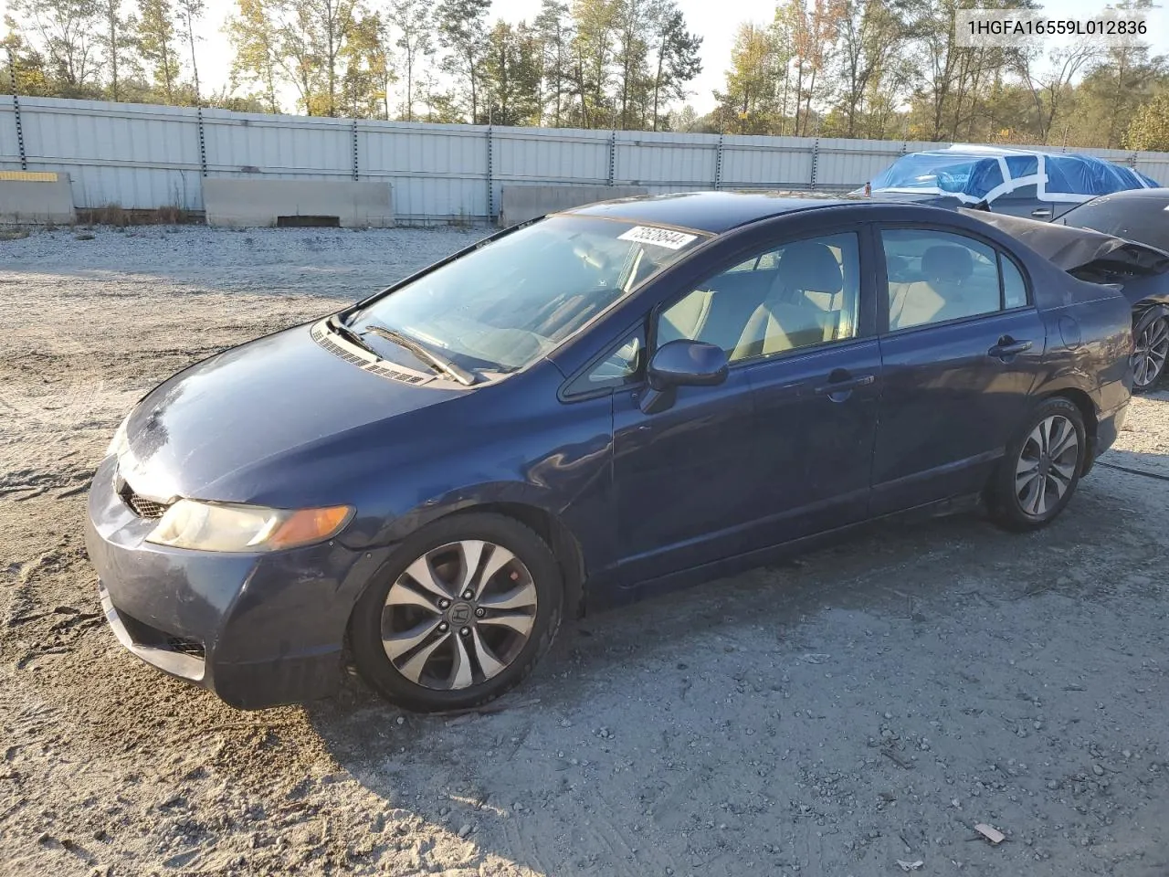 1HGFA16559L012836 2009 Honda Civic Lx