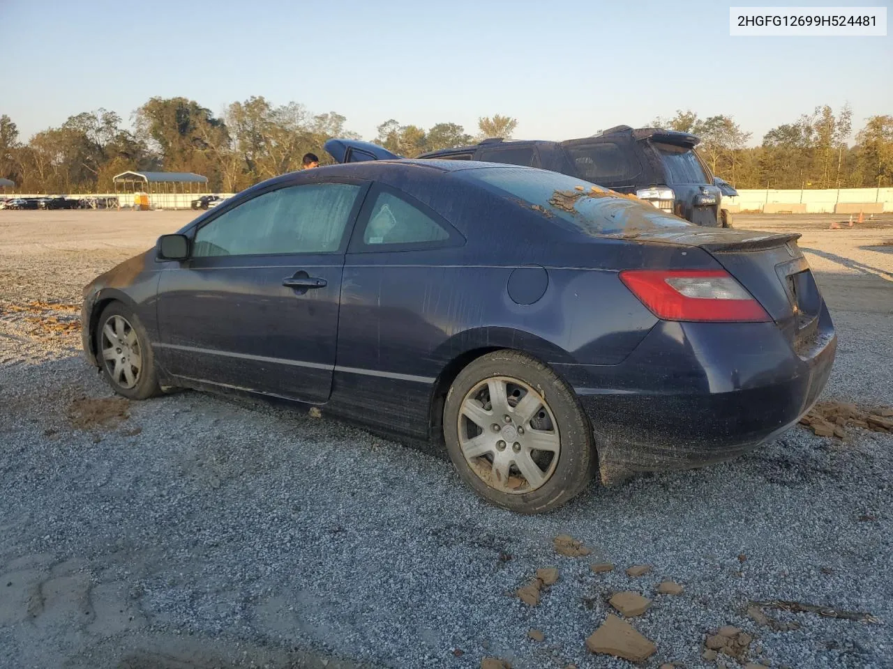 2009 Honda Civic Lx VIN: 2HGFG12699H524481 Lot: 75025404