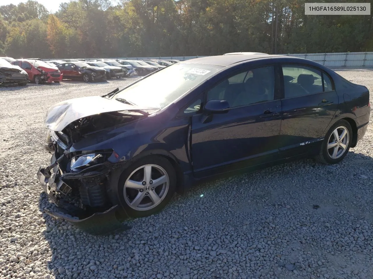 2009 Honda Civic Lx VIN: 1HGFA16589L025130 Lot: 76840784