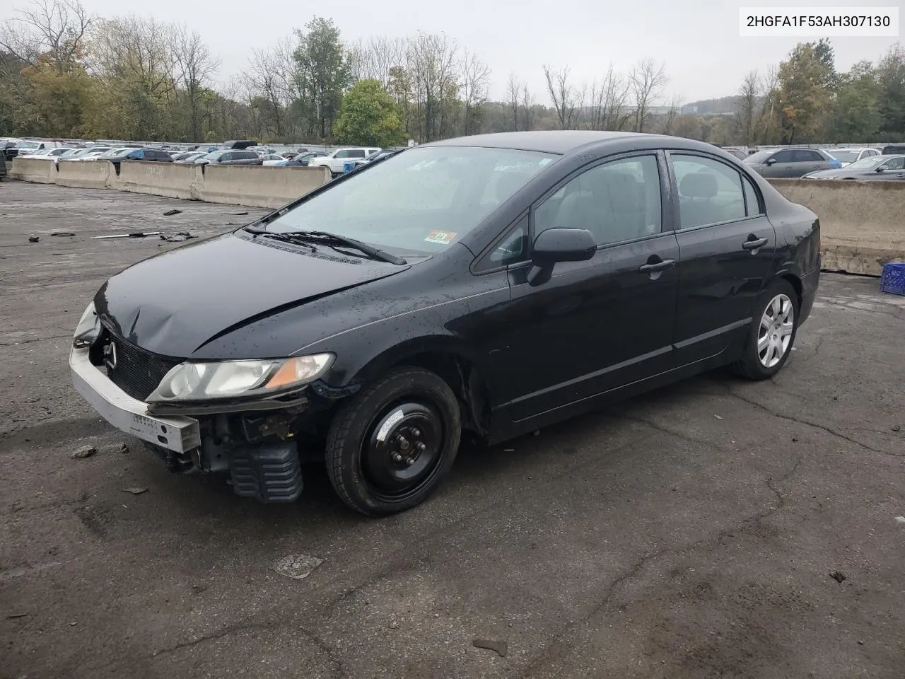 2010 Honda Civic Lx VIN: 2HGFA1F53AH307130 Lot: 75965654