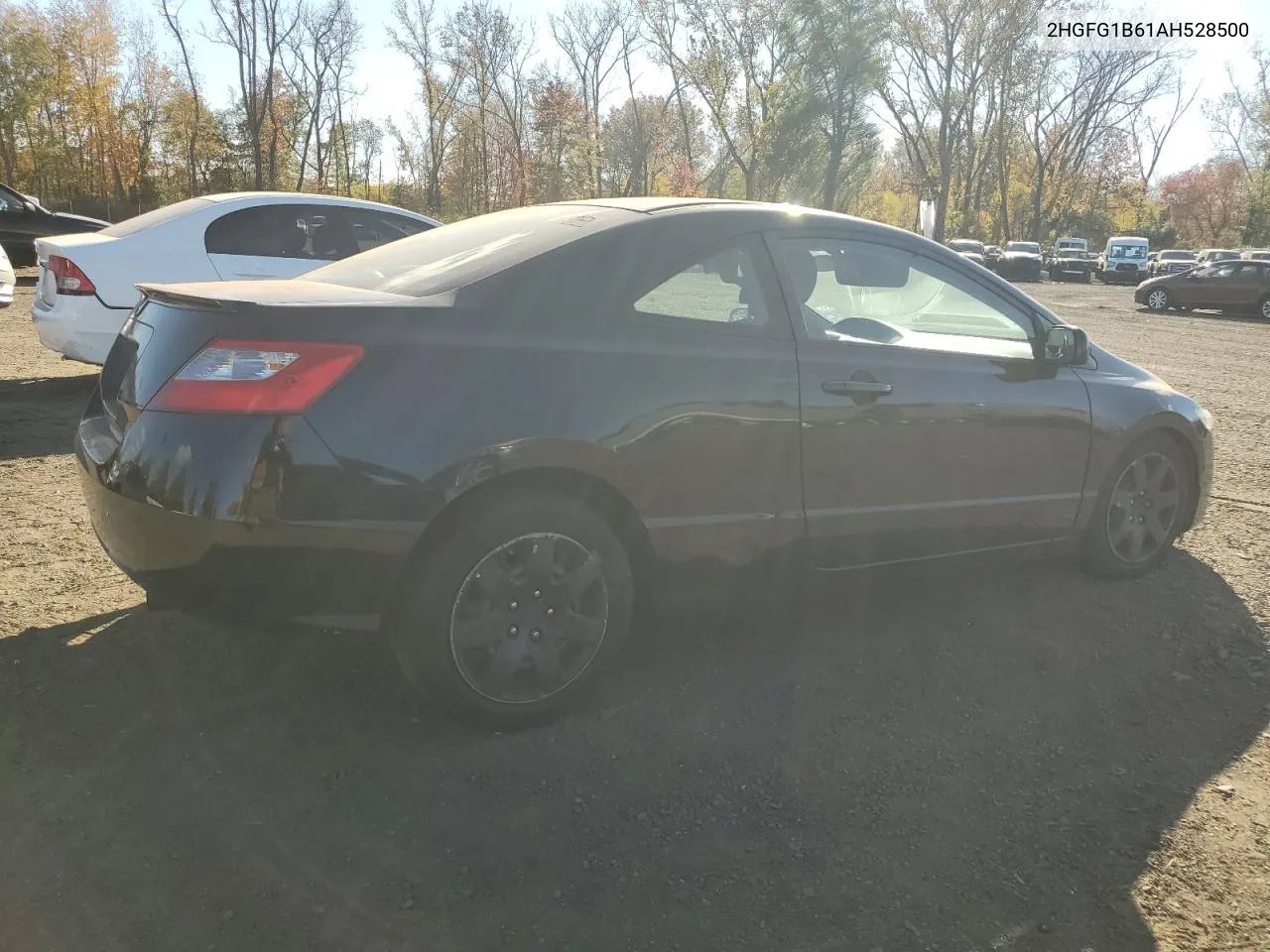 2010 Honda Civic Lx VIN: 2HGFG1B61AH528500 Lot: 76401474