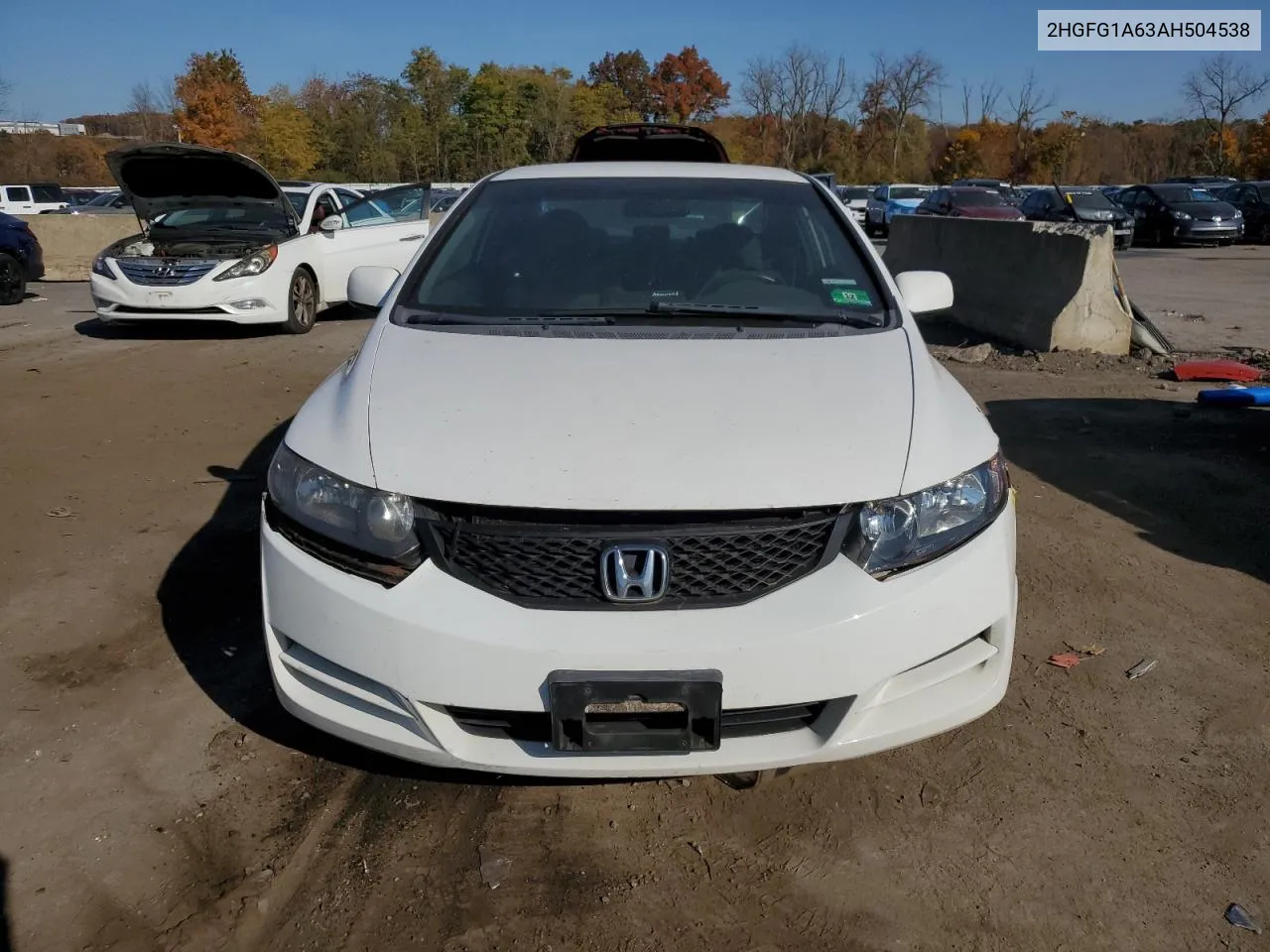 2010 Honda Civic Lx VIN: 2HGFG1A63AH504538 Lot: 76795894