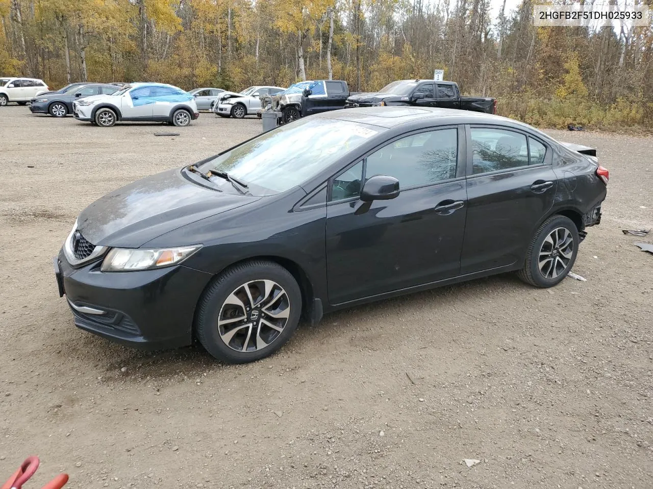 2013 Honda Civic Lx VIN: 2HGFB2F51DH025933 Lot: 77497314