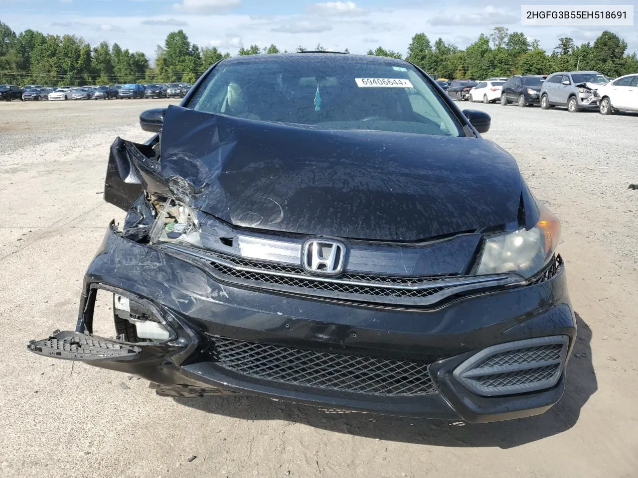 2014 Honda Civic Lx VIN: 2HGFG3B55EH518691 Lot: 69406644