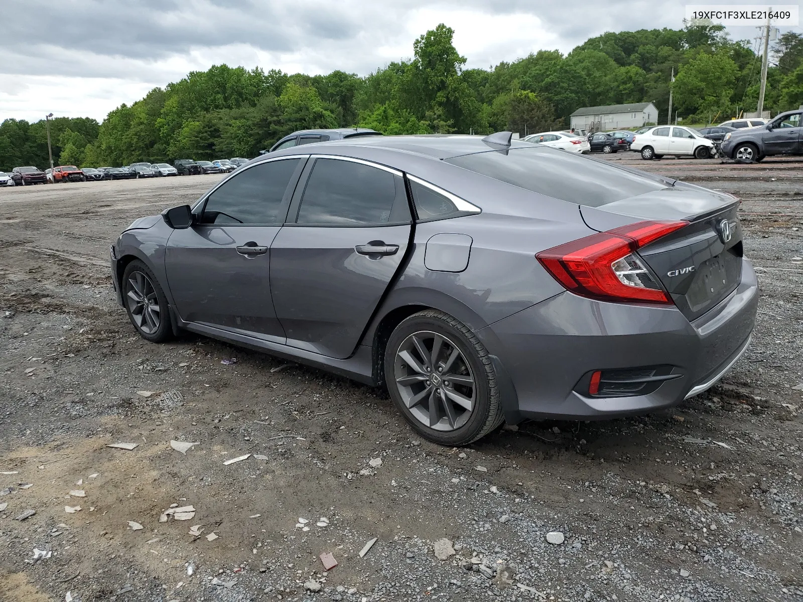 2020 Honda Civic Ex VIN: 19XFC1F3XLE216409 Lot: 55364724